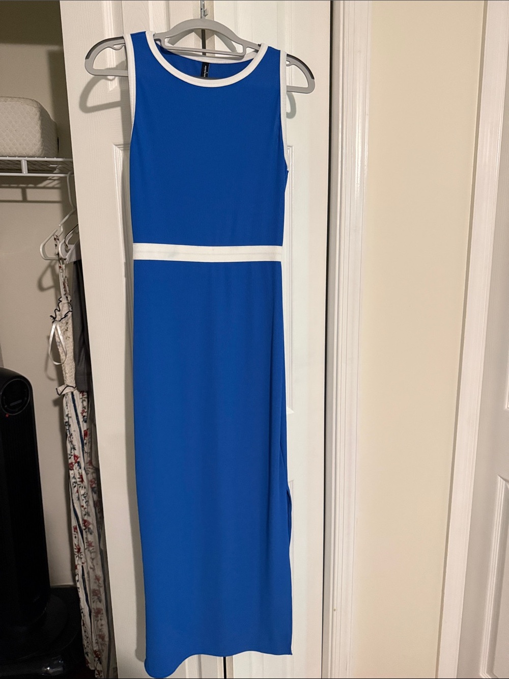 Pretty Garden Sleeveless Blue and White Maxi Dress
